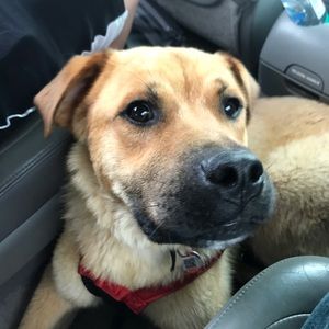 Meet your Posher, Cole